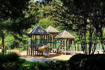 Adventure park